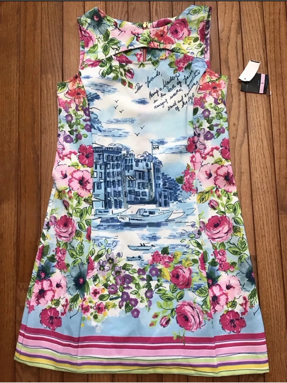 Gabby Skye shift dress